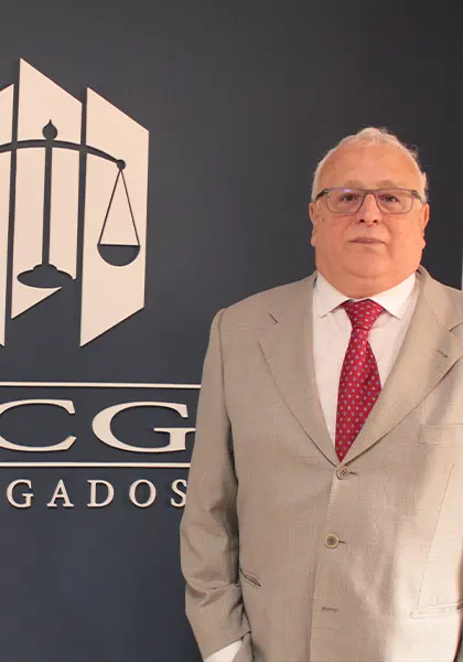 Lcg Abogados Elda