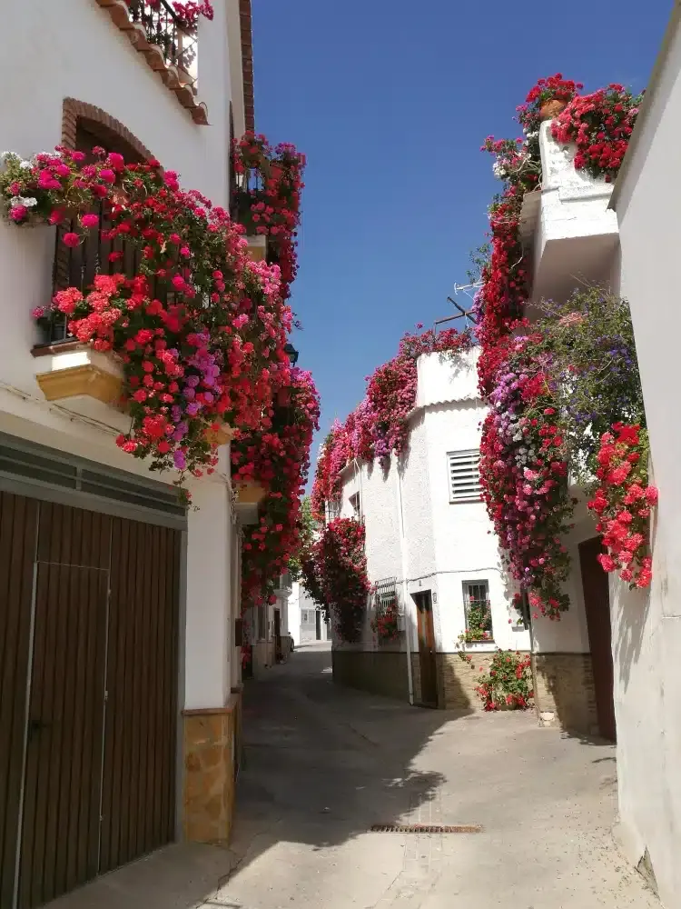 Asoban Abogados Almería — foto 4 de 4