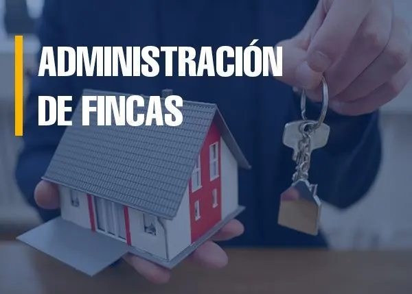 Llaneza y Asociados — foto 3 de 4