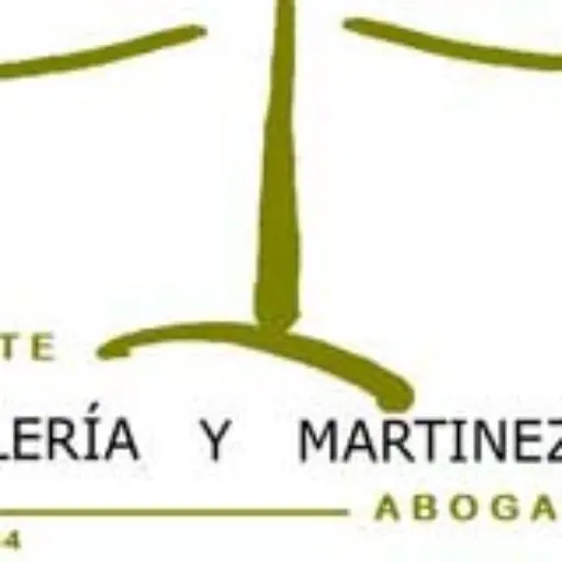Bufete Lería y Martinez Abogados