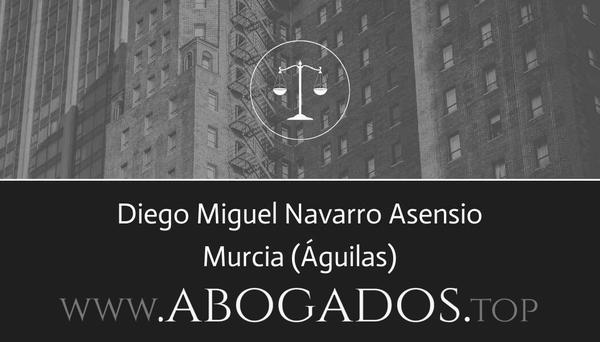 Diego Navarro Asensio