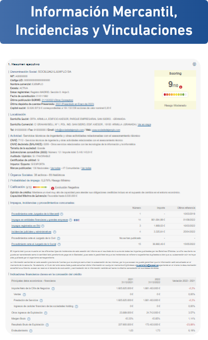 Socigest Abogados,s.l.
